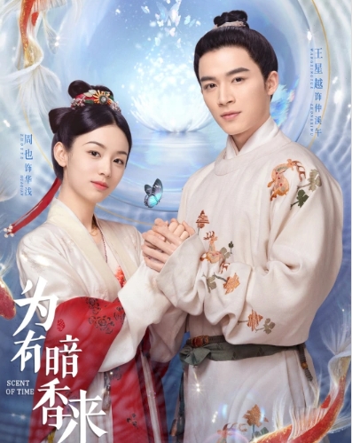为有暗香来
